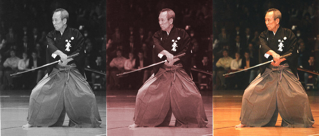 L’art du combat de sumo au Japon : Du rituel religieux au sport d’élite