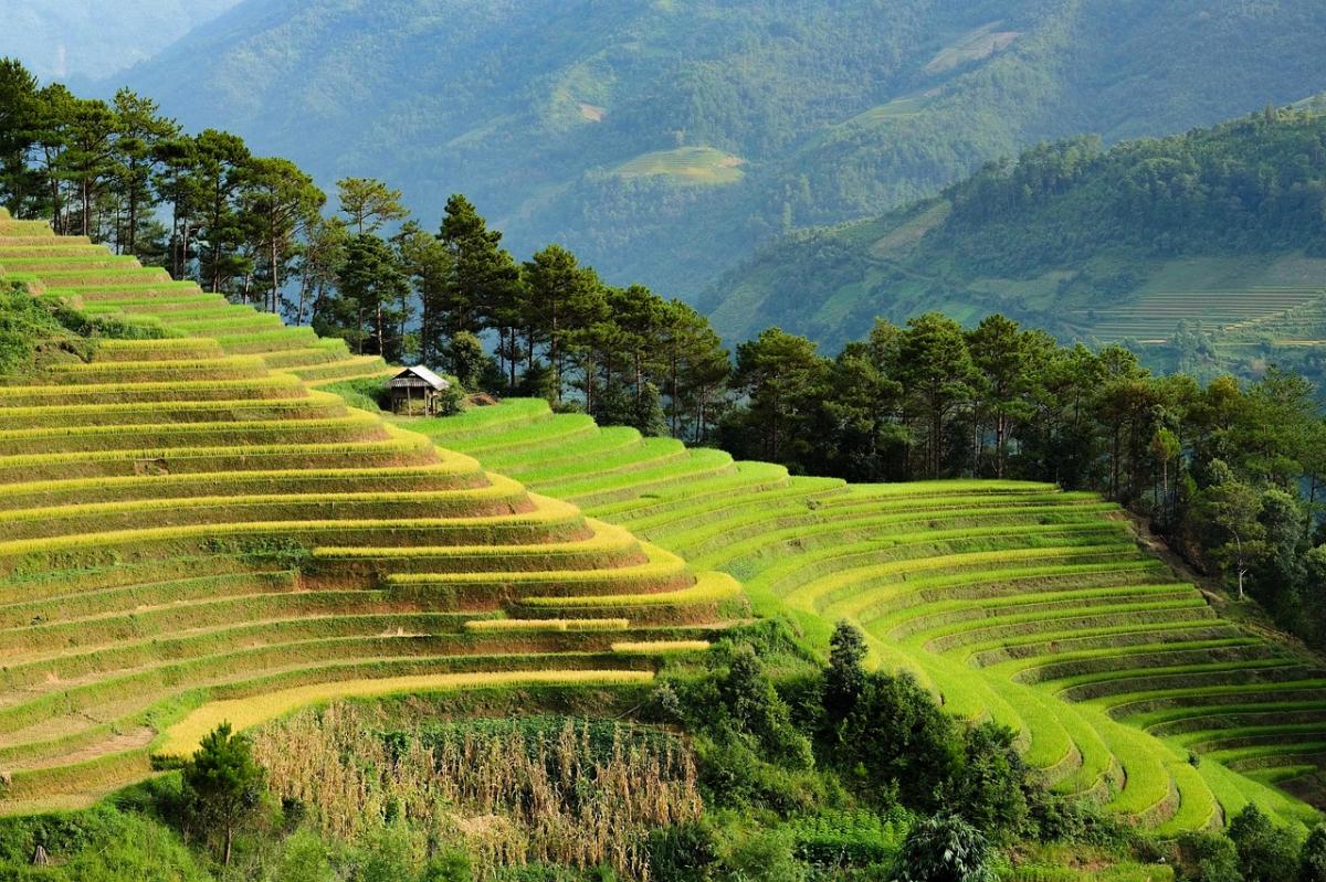 Conseils pratiques pour planifier un séjour au soleil en Asie